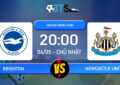 Phân tích, Dự đoán Brighton vs Newcastle United 20:00 04/05 Ngoại Hạng Anh