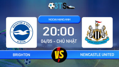 Phân tích, Dự đoán Brighton vs Newcastle United 20:00 04/05 Ngoại Hạng Anh