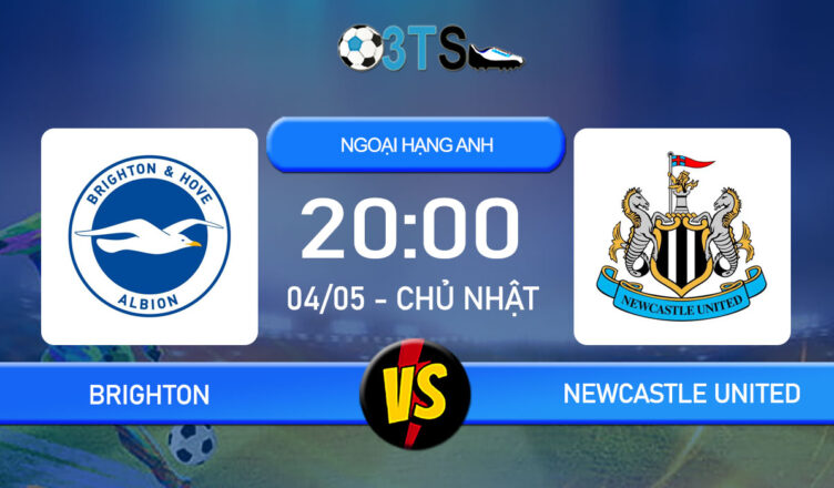 Phân tích, Dự đoán Brighton vs Newcastle United 20:00 04/05 Ngoại Hạng Anh