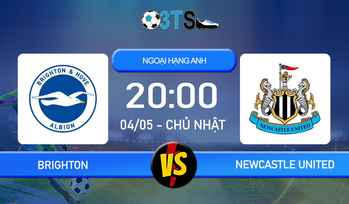 Phân tích, Dự đoán Brighton vs Newcastle United 20:00 04/05 Ngoại Hạng Anh
