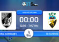 Dự đoán Vitoria Guimaraes vs SC Farense 00:00 12/05 VĐQG Bồ Đào Nha